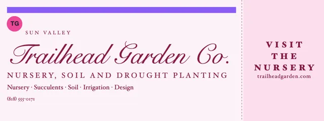 Ticket stub banners template in the Beauty & spa palette