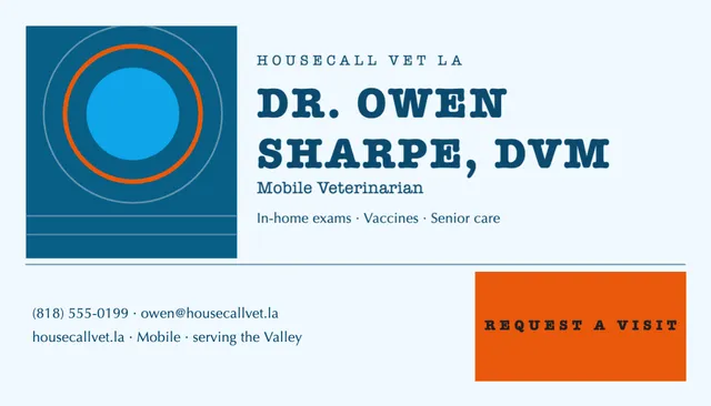 Nine-square grid business cards template in the Travel agency palette