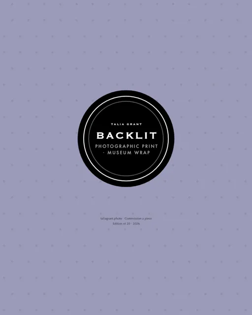 Haloed badge canvas prints template in the Photography studio palette