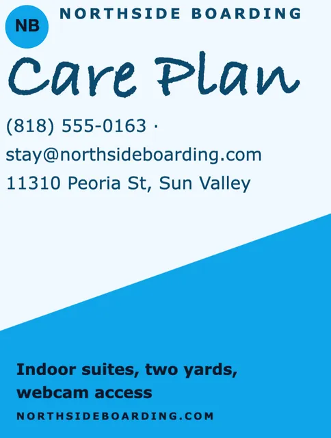Diagonal split folders template in the Travel agency palette