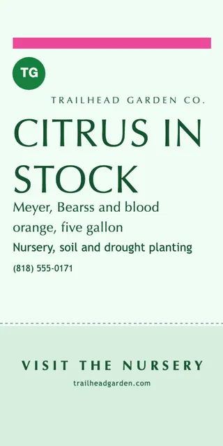 Ticket stub pole banners template in the Florist & plants palette